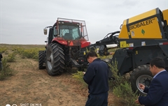 2019年，內(nèi)蒙奈吉牧草有限公司，采購一臺Anderson檸條平茬機